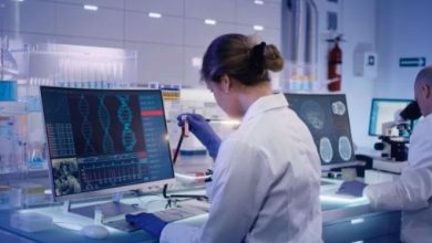 swift relocation to canada as electronics engineer 2024