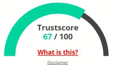 tiktok18apk .com site review