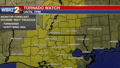 tornado watch michigan