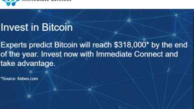 Immediate Connect 2023: Scam Or Legit ,mmediate Connect Review