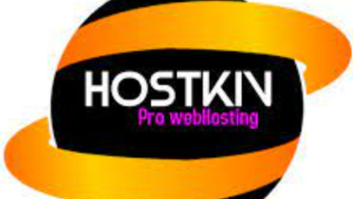 script.hostkiv.com site review