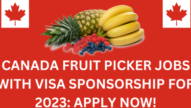 How to easily get canada fruit picker job in 2024 flash ca