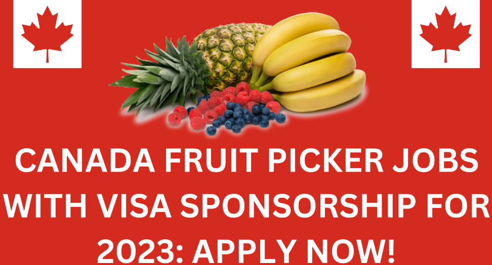 How to easily get canada fruit picker job in 2024 flash ca