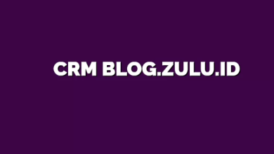 CRM Blog.zulu.id Site Review