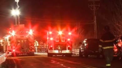 Dannii Erskine Cause Of Death