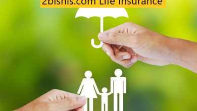 2bisnis.com Life Insurance