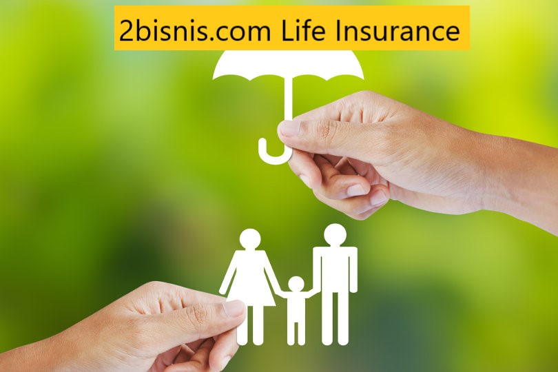 2bisnis.com Life Insurance