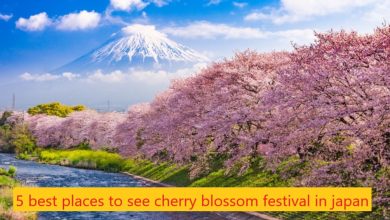 5 best places to see cherry blossom festival in japan