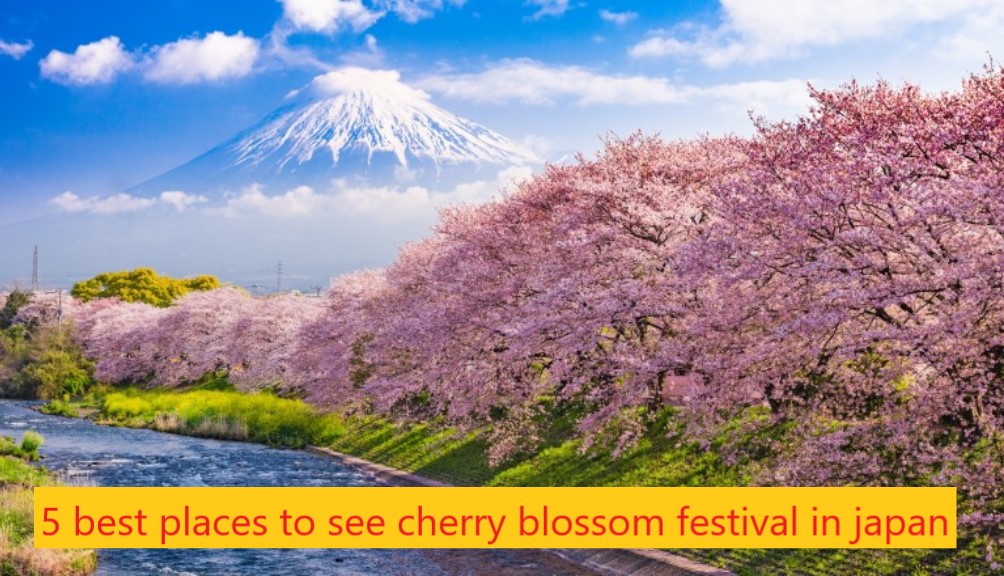 5 best places to see cherry blossom festival in japan