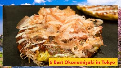 6 best okonomiyaki in tokyo