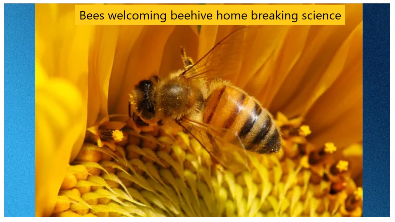 Bees welcoming beehive home breaking science