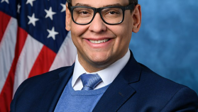 George Santos Wikipedia