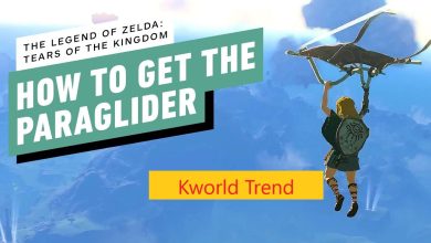 How to get the paraglider tears of the kingdom totk