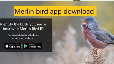 Merlin bird app download