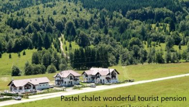 Pastel chalet wonderful tourist pension near brasov loveghor
