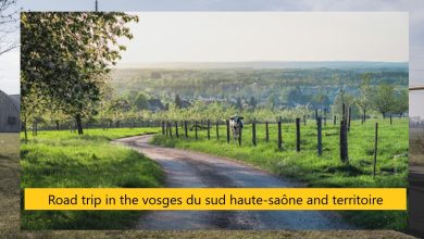 Road trip in the vosges du sud haute-saône and territoire