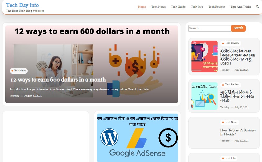 TechDayInfo Site Review