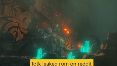 Totk leaked rom on reddit