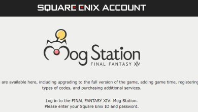 Why You Should Buy from the Mogstation