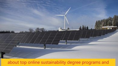 about top online sustainability degree programs and industry salary