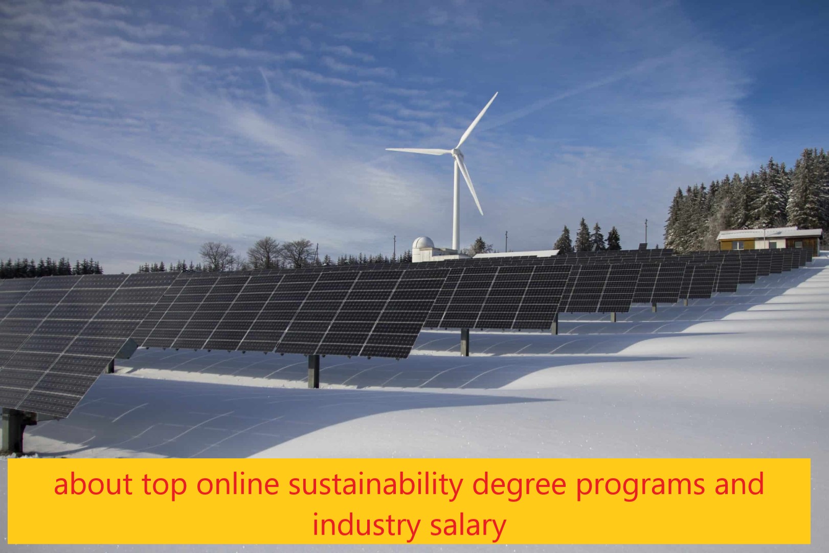 about top online sustainability degree programs and industry salary