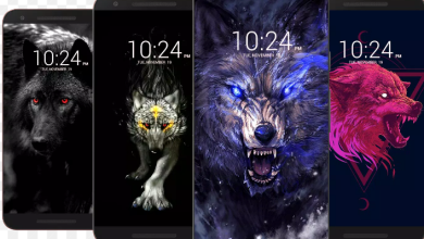 Black Wolf App Download
