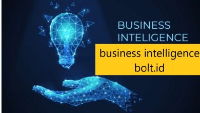 business intelligence bolt.id