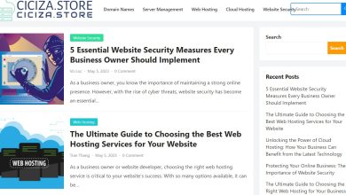 Ciciza.store Site Review