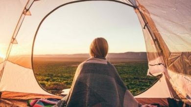 Coder Says Created Automated Campsite Reservation