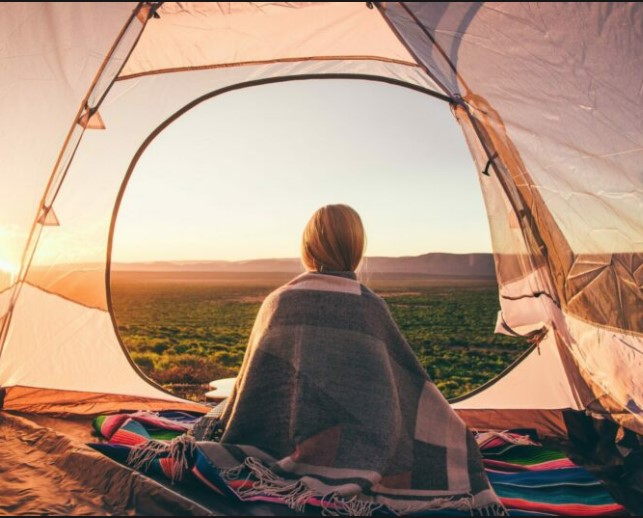 Coder Says Created Automated Campsite Reservation