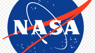 Htraetalf.com Site Full Review