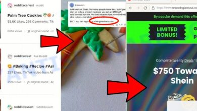 is sheingivesback com scam