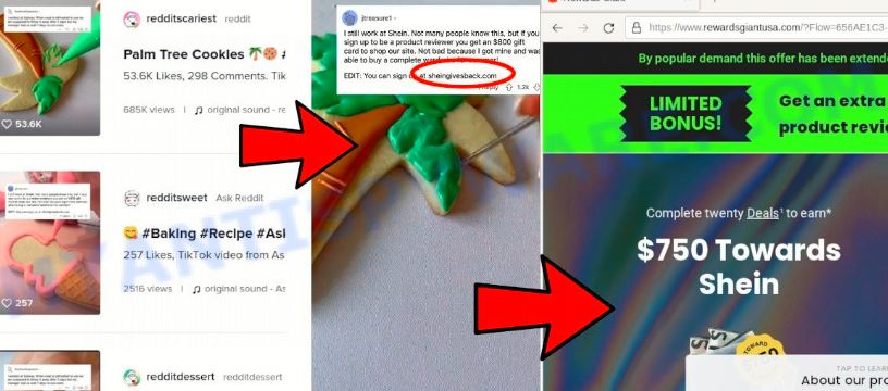 is sheingivesback com scam