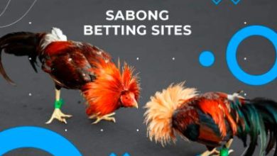 legit sabong com list of legit online sabong website