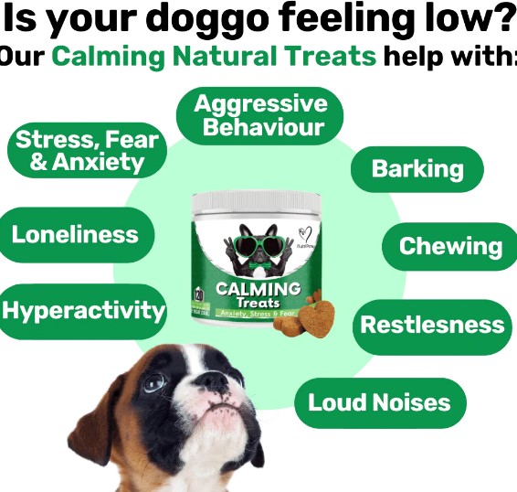 Nutripaw Calming Treats & Nutripaw Reviews