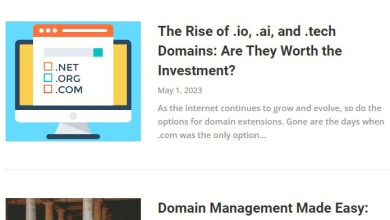 pagodasite.net site review