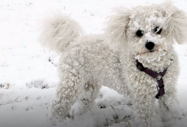 postsed.com site review 2023