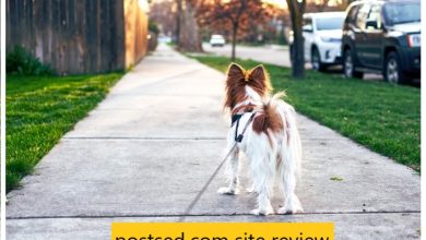 postsed.com site review