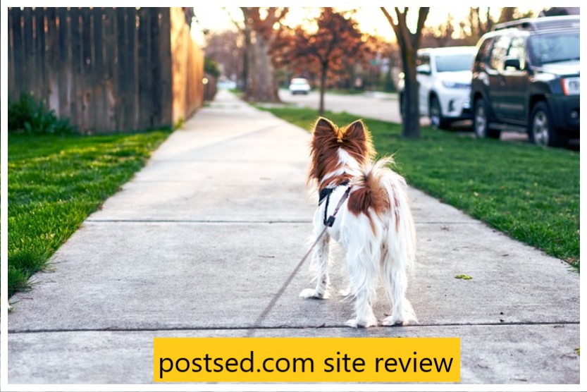 postsed.com site review