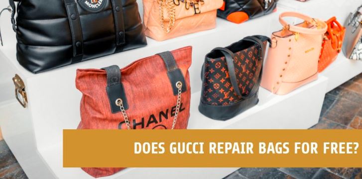 repairtoday.in site review