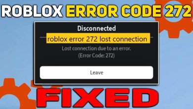 roblox error 272 lost connection
