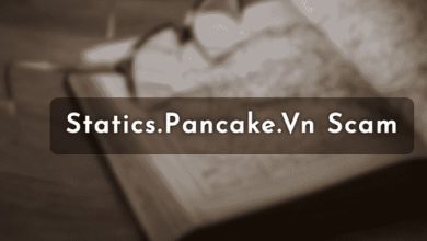 Statics Pancake VN Scam Review