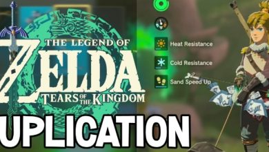 Tears of the Kingdom Duplication Glitch