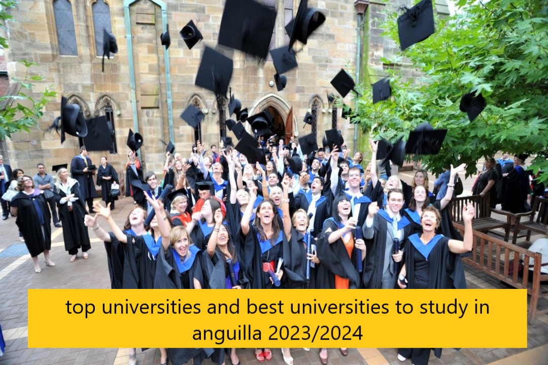 top universities and best universities to study in anguilla 2023/2024