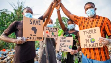 what roles could individual play in ensuring safe and healthy living environment