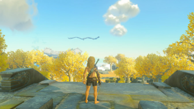 tears of the kingdom xci file ,xci file yuzu ,tears of the kingdom 20 fps reddit