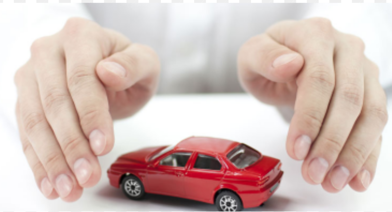 rushsumo.com Rushsumo Your Daily Dose of Positivity