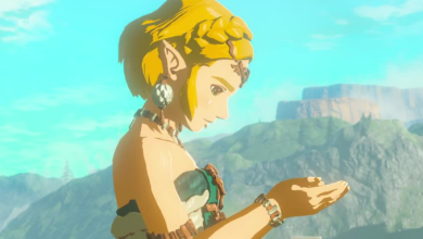 the legend of zelda tears of the kingdom yuzu