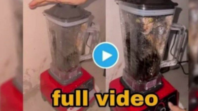 cat blender reddit ,twitter