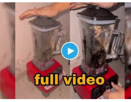 cat blender reddit ,twitter